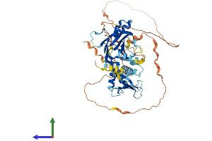 AlphaFold protein structure predicition of Human Recombinant IRF7 Protein, UniprotID Q92985