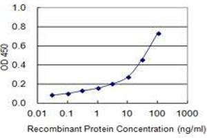 Detection limit for recombinant GST tagged MARS2 is 0. (MARS2 抗体  (AA 1-106))
