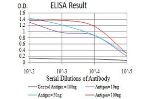 Fig. (SIRT4 抗体  (AA 215-314))
