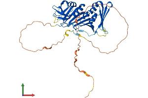 Protein Structure (PS) image for RAD9 Homolog A (S. Pombe) (RAD9A) (AA 1-389) protein (His tag) (ABIN7565253)