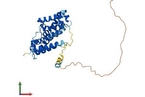 Protein Structure (PS) image for Transmembrane Protein 38B (TMEM38B) (AA 1-291) protein (His tag) (ABIN7544571)