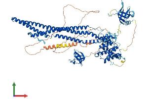 Protein Structure (PS) image for rho GTPase Activating Protein 26 (ARHGAP26) (AA 1-814) protein (His tag) (ABIN7558144)