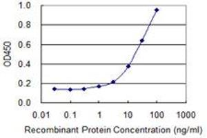 Detection limit for recombinant GST tagged SNX11 is 0. (SNX11 抗体  (AA 1-270))