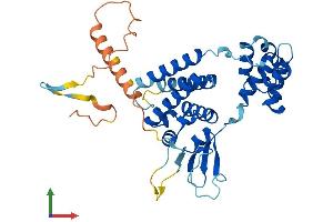 Protein Structure (PS) image for F-Box Protein 32 (FBXO32) (AA 1-355) protein (His tag) (ABIN7560481)