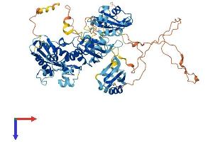 ESRP2 Protein (AA 1-727) (His tag)