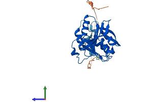 Protein Structure (PS) image for Methyltransferase Like 21C (METTL21C) (AA 1-264) protein (His tag) (ABIN7549588)