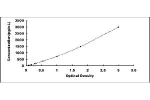 Typical standard curve (SRGN ELISA 试剂盒)