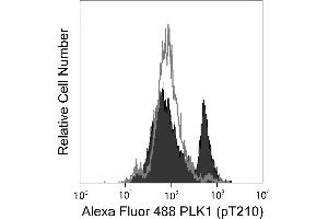 Flow Cytometry (FACS) image for anti-Polo-Like Kinase 1 (PLK1) (pThr210) antibody (Alexa Fluor 488) (ABIN1177154) (PLK1 抗体  (pThr210) (Alexa Fluor 488))
