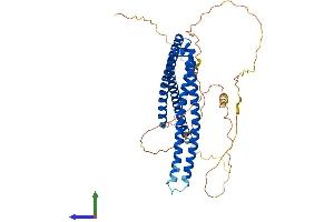 Protein Structure (PS) image for SH3-Domain Binding Protein 5 (SH3BP5) (AA 1-455) protein (His tag) (ABIN7551741)
