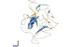 AlphaFold protein structure predicition of Human Recombinant AXIN1 Protein, UniprotID O15169