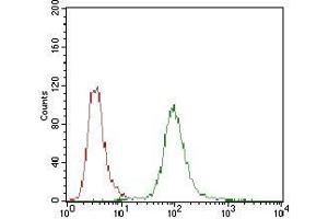 Flow Cytometry (FACS) image for anti-Protein Phosphatase 1, Regulatory (Inhibitor) Subunit 1B (PPP1R1B) (AA 95-204) antibody (ABIN1724929)