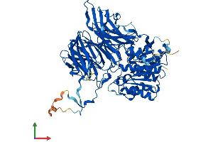 AlphaFold protein structure predicition of Mouse Recombinant Apeh Protein, UniprotID Q8R146