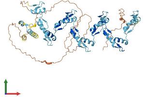Protein Structure (PS) image for Zinc Finger Protein 543 (ZNF543) (AA 1-600) protein (His tag) (ABIN7545560)