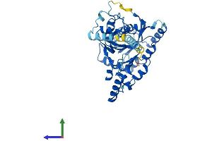 Protein Structure (PS) image for UDP-GlcNAc:betaGal beta-1,3-N-Acetylglucosaminyltransferase 5 (B3GNT5) (AA 1-378) protein (His tag) (ABIN7552648)