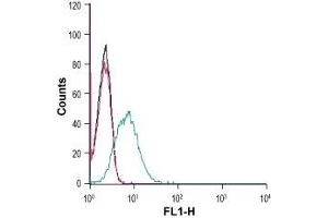Cell surface detection of Corticotropin-releasing factor receptor 2 in live intact HL-60 (human promyelocytic leukemia) cells: (black line) Cells. (CRHR2 抗体  (Extracellular))