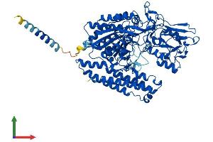 Protein Structure (PS) image for N-Acetylated alpha-Linked Acidic Dipeptidase 2 (NAALAD2) (AA 1-740) protein (His tag) (ABIN7554673)