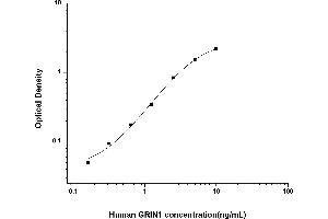 Typical standard curve (GRIN1/NMDAR1 ELISA 试剂盒)