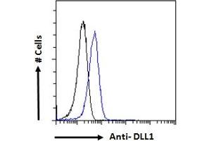 ABIN361190 Flow cytometric analysis of paraformaldehyde fixed HeLa cells (blue line), permeabilized with 0. (DLL1 抗体  (Internal Region))
