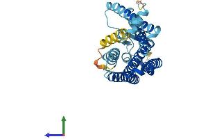 Protein Structure (PS) image for Olfactory Receptor, Family 6, Subfamily B, Member 2 (OR6B2) (AA 1-312) protein (His tag) (ABIN7550182)