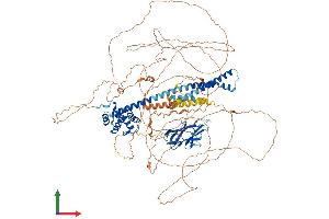 AlphaFold protein structure predicition of Human Recombinant CAPRIN2 Protein, UniprotID Q6IMN6 (CAPRIN2 Protein (AA 1-1127) (His tag))