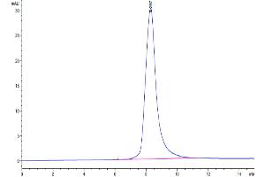 Size-exclusion chromatography-High Pressure Liquid Chromatography (SEC-HPLC) image for Tumor Necrosis Factor (Ligand) Superfamily, Member 11 (TNFSF11) (AA 70-316) protein (His tag) (ABIN7275518)