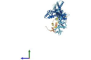 Protein Structure (PS) image for rho Guanine Nucleotide Exchange Factor (GEF) 37 (ARHGEF37) (AA 1-675) protein (His tag) (ABIN7552299)