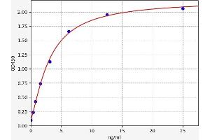 ACE2 ELISA 试剂盒