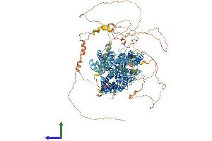Protein Structure (PS) image for Solute Carrier Family 4, Anion Exchanger, Member 2 (erythrocyte Membrane Protein Band 3-Like 1) (SLC4A2) (AA 1-1241) protein (His tag) (ABIN7552501)