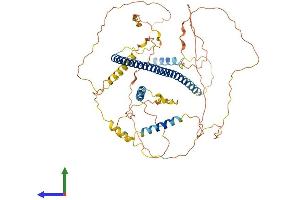AlphaFold protein structure predicition of Mouse Recombinant Hdac9 Protein, UniprotID Q99N13