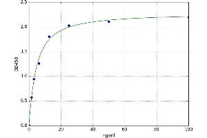A typical standard curve