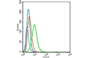 RSC96 cells probed with LOX 1 Polyclonal Antibody, Unconjugated  at 1:100 for 30 minutes followed by incubation with a conjugated secondary (PE Conjugated) (green) for 30 minutes compared to control cells (blue), secondary only (light blue) and isotype control (orange).