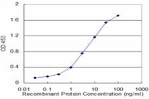 Detection limit for recombinant GST tagged HPD is approximately 0. (HPD 抗体  (AA 160-269))