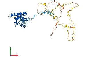 Protein Structure (PS) image for Calponin 3, Acidic (CNN3) (AA 1-329) protein (His tag) (ABIN7546624)