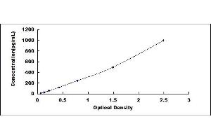 Typical standard curve (FGF12 ELISA 试剂盒)