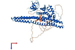 SNX9 Protein (AA 1-595) (His tag)