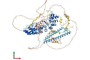 Protein Structure (PS) image for Espin (ESPN) (AA 1-854) protein (His tag) (ABIN7553834)