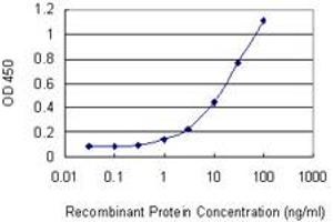 Detection limit for recombinant GST tagged GNLY is 0. (GNLY 抗体  (AA 46-145))