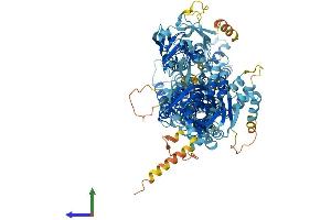 Protein Structure (PS) image for ATPase, Class VI, Type 11A (ATP11A) (AA 1-1134) protein (His tag) (ABIN7552370)
