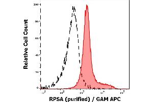 Separation of MOLT-4 cells stained using anti-RPSA (RP-01) purified antibody (concentration in sample 9 μg/mL, GAM APC, red-filled) from MOLT-4 unstained by primary antibody (GAM APC, black-dashed) in flow cytometry analysis (intracellular staining). (RPSA/Laminin Receptor 抗体)