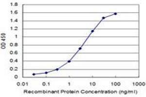 Detection limit for recombinant GST tagged IRF5 is approximately 0. (IRF5 抗体  (AA 395-504))