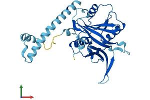 AlphaFold protein structure predicition of Human Recombinant IMP4 Protein, UniprotID Q96G21