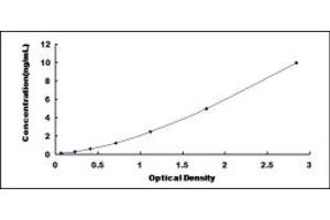 Typical standard curve (Dystroglycan ELISA 试剂盒)