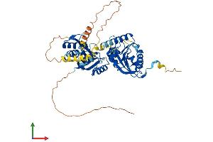Protein Structure (PS) image for THUMP Domain Containing 3 (THUMPD3) (AA 1-505) protein (His tag) (ABIN7556825)