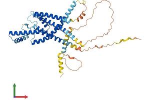 Protein Structure (PS) image for Potassium Channel, Subfamily K, Member 12 (KCNK12) (AA 1-430) protein (His tag) (ABIN7548851)