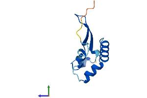 Protein Structure (PS) image for Canopy 1 Homolog (CNPY1) (AA 1-94) protein (His tag) (ABIN7557397)