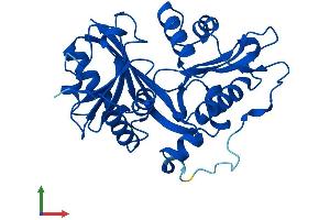 Protein Structure (PS) image for Glycine N-Acyltransferase (GLYAT) (AA 1-296) protein (His tag) (ABIN7548117)