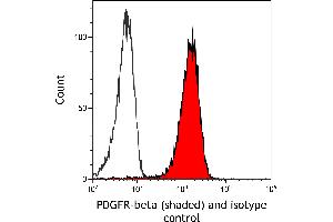 anti-Platelet Derived Growth Factor Receptor beta (PDGFRB) antibody
