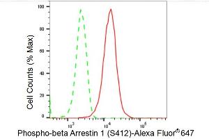 Flow cytometric analysis of Phospho-beta Arrestin 1 (S412) expression in HepG2 cells using Phospho-beta Arrestin 1 (S412) antibody (ABIN7797654), 1:2,000).
