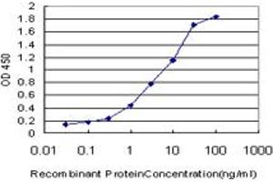 Detection limit for recombinant GST tagged CETN2 is approximately 0. (CETN2 抗体  (AA 85-172))