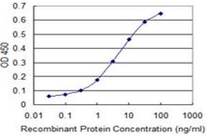 Detection limit for recombinant GST tagged MAG is 0. (MAG 抗体  (AA 119-208))